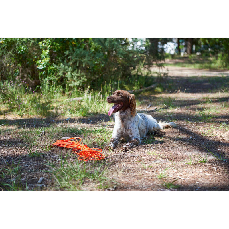 Longe pour chien 15 mètres 900 orange fluo