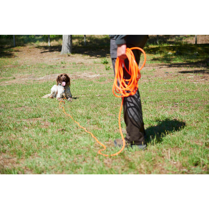 Longe pour chien 15 mètres 900 orange fluo