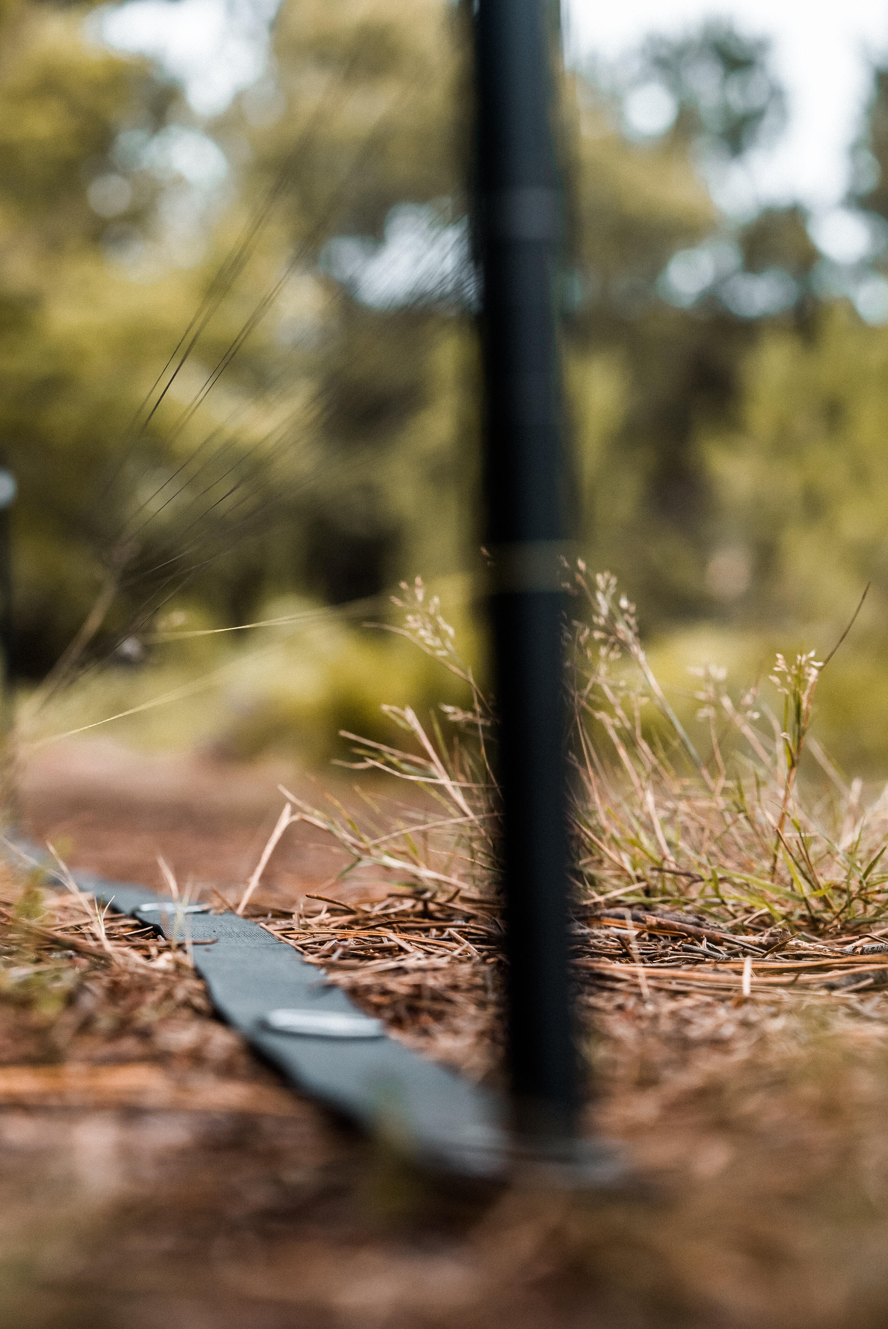 Distance stick pesca carpa 11/11