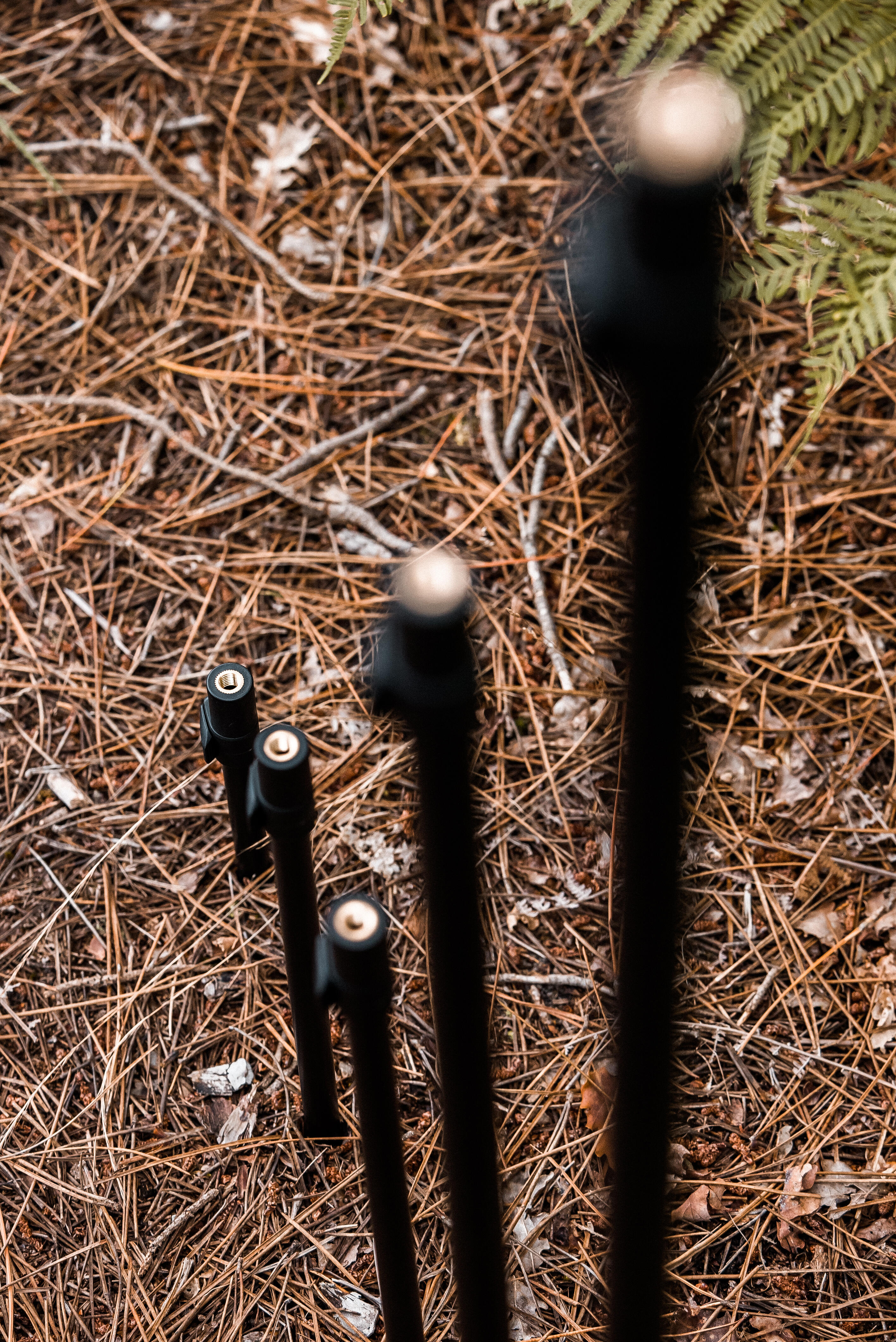 Stick 120/200 Pêche de la carpe 8/12