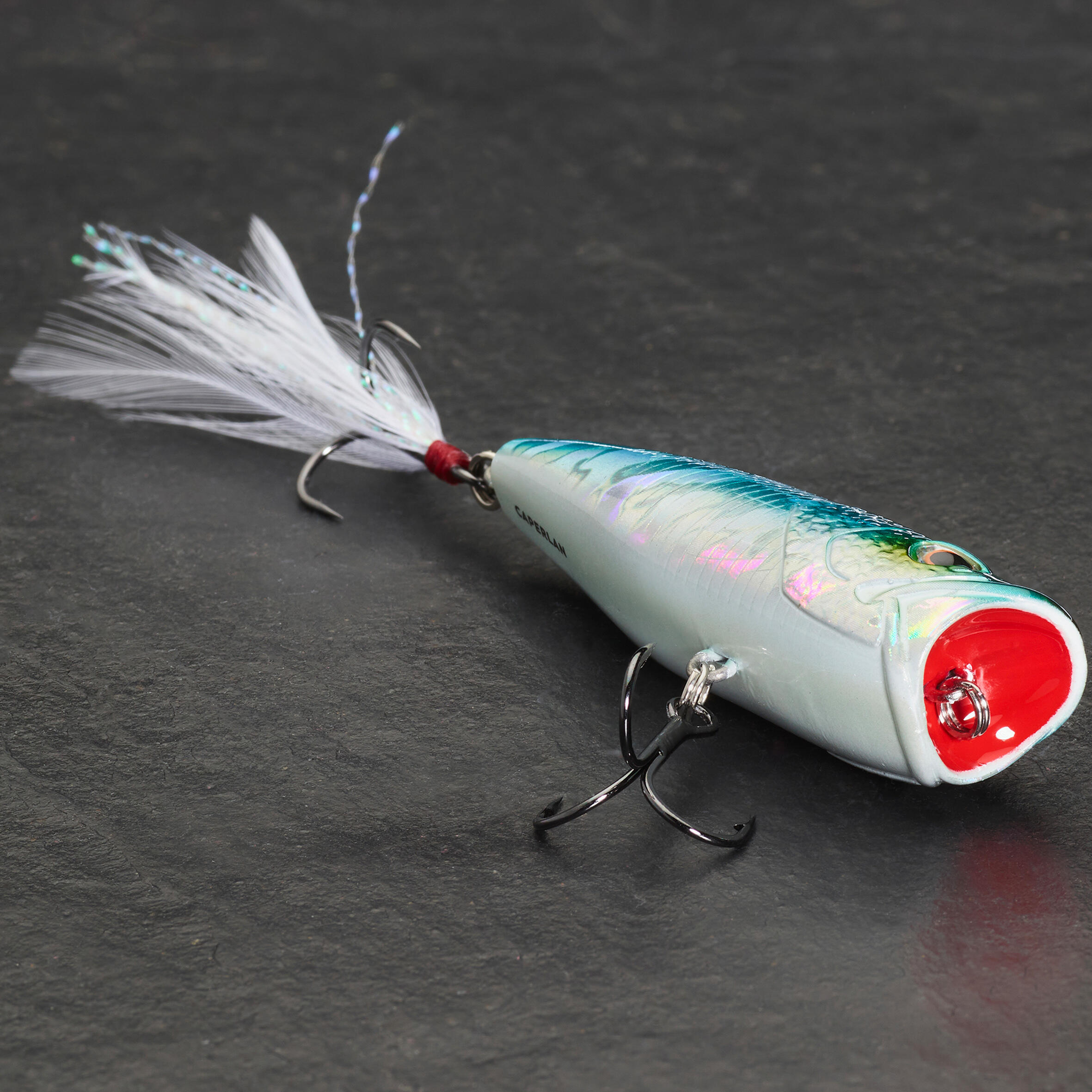 Minnow POPPER WXM  PPR 65 F dorso azzurro 3/4