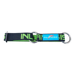 Collier pour chien Névé vert/noir