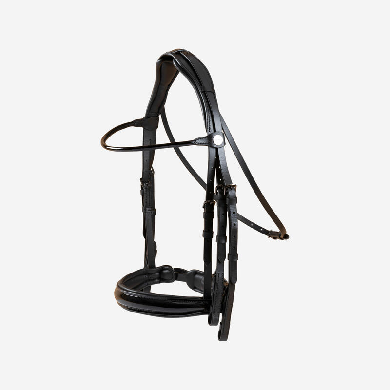 Briglia equitazione pony e cavallo 900 dressage nera