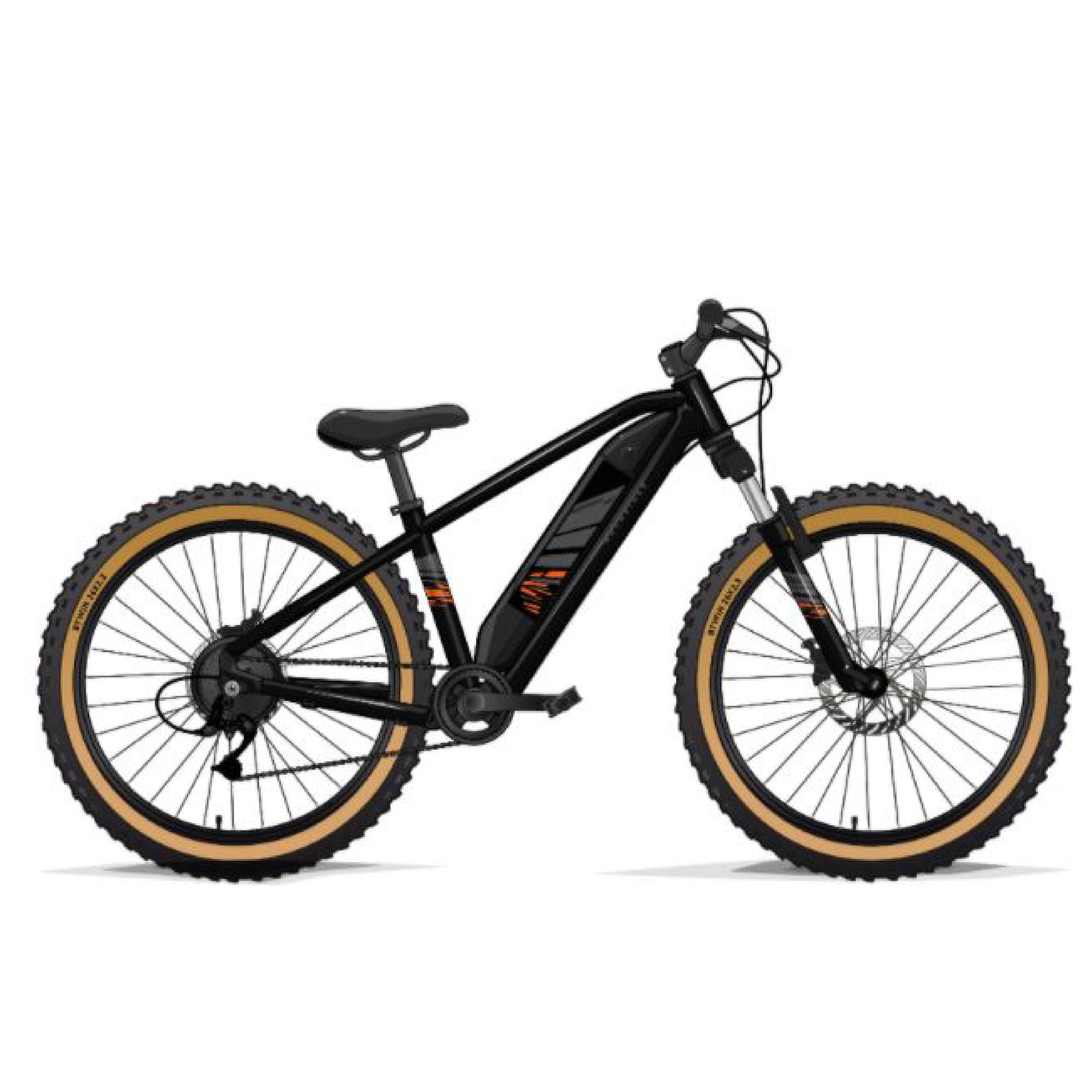 Bici Elettriche da Bambino