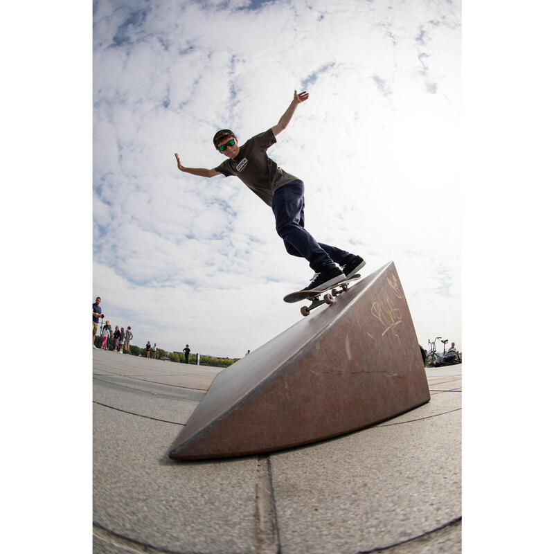 Tavola skateboard DK 120 RURAL CHANGEMAKERS 8.25"