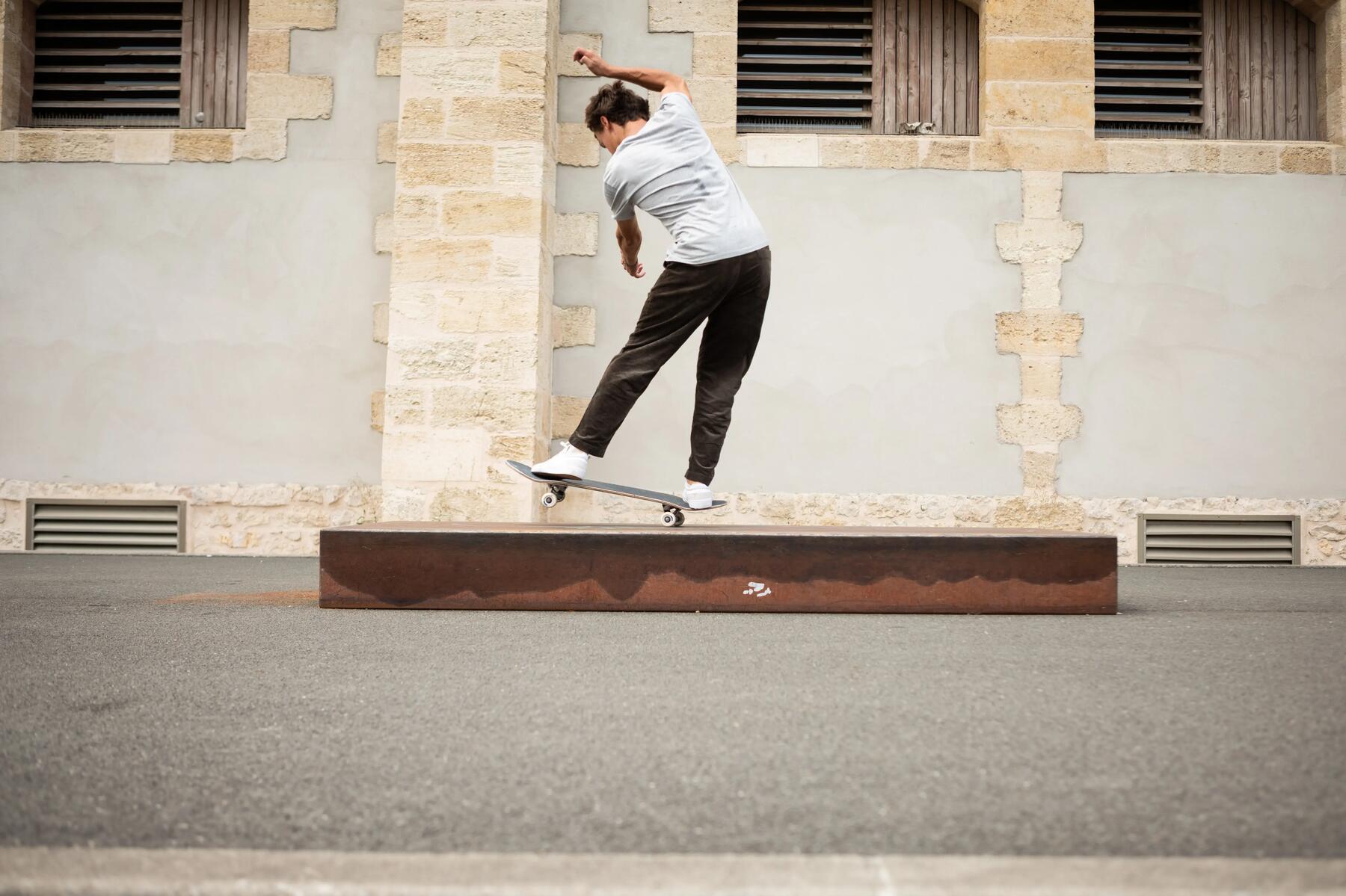 Wie werden die Lager eines Skateboards gepflegt und gereinigt?