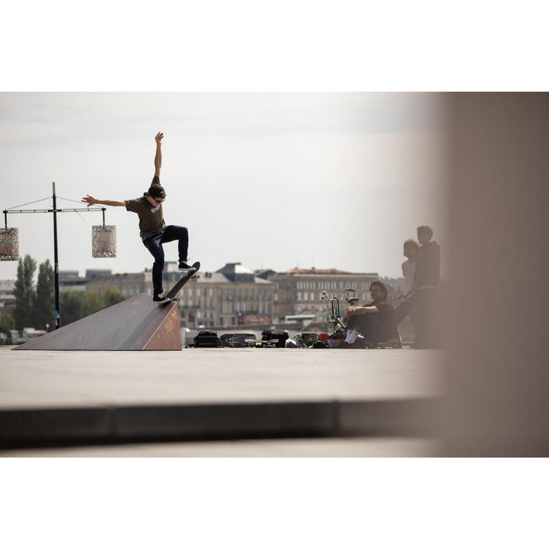 PLANCHE DE SKATE EN ERABLE DK120 "RURAL CHANGEMAKERS" TAILLE 8.25"