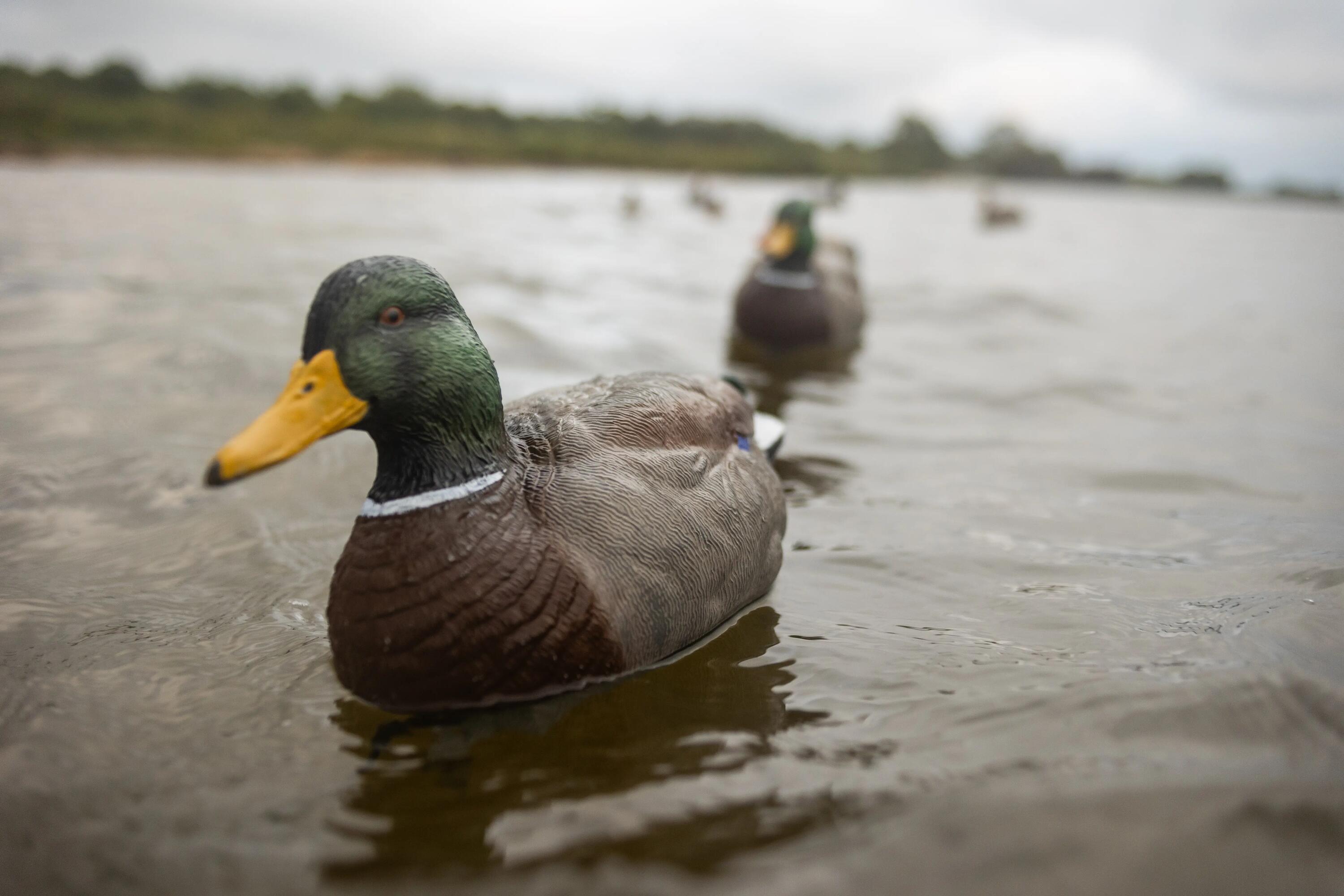 APPELANT COLVERT MALE 500 HD 4/5