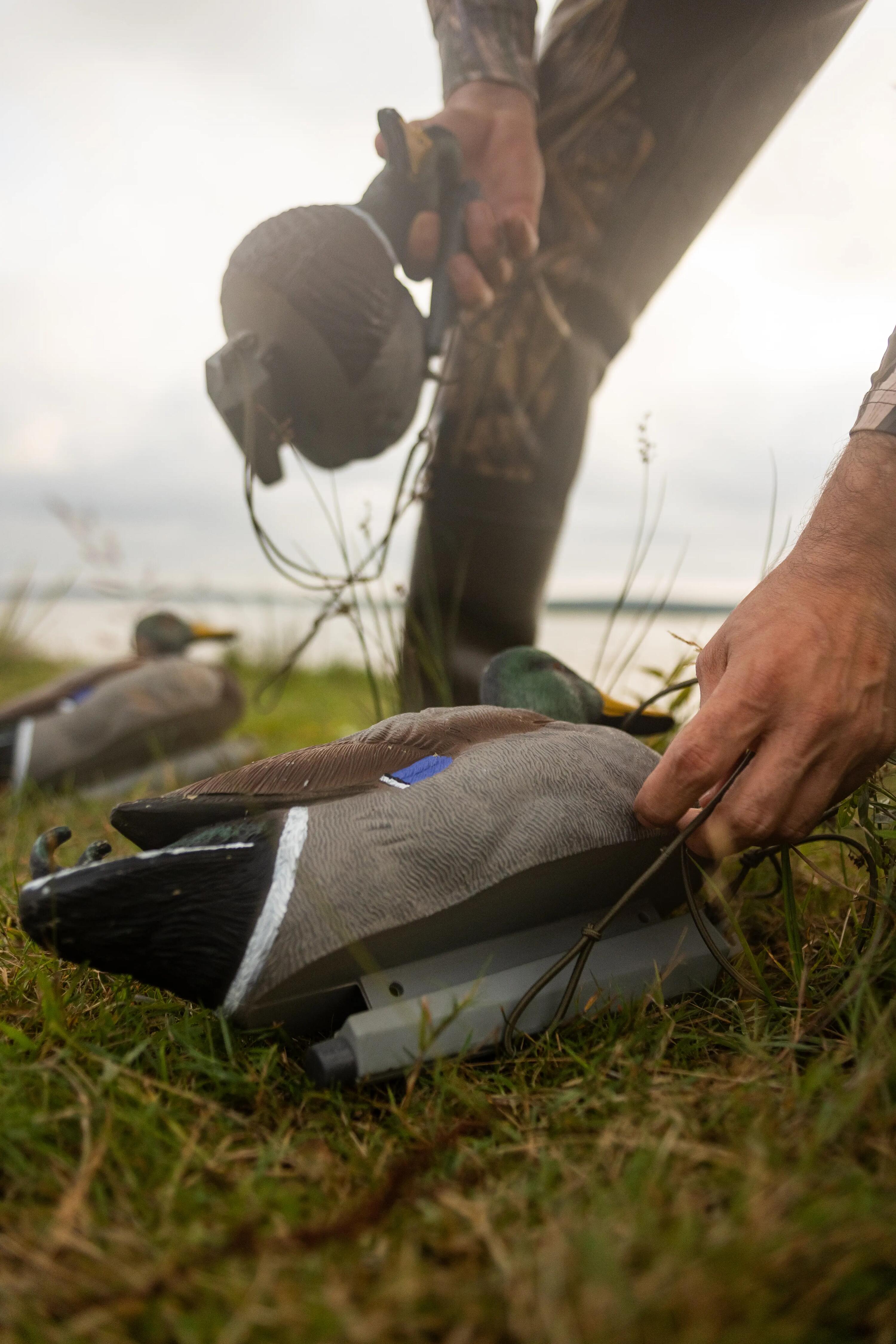 APPELANT COLVERT MALE 500 HD 6/7