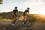 VELO ROUTE ULTRA 740 CF TEAM EDITION VELO ROUTE ULTRA 740 CF TEAM EDITION