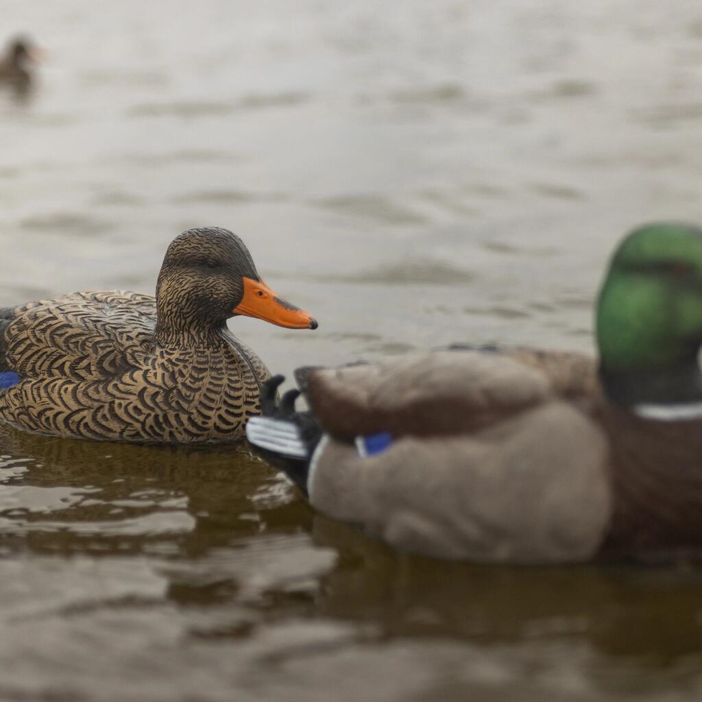 MALLARD DECOY 500 FEMALE HD