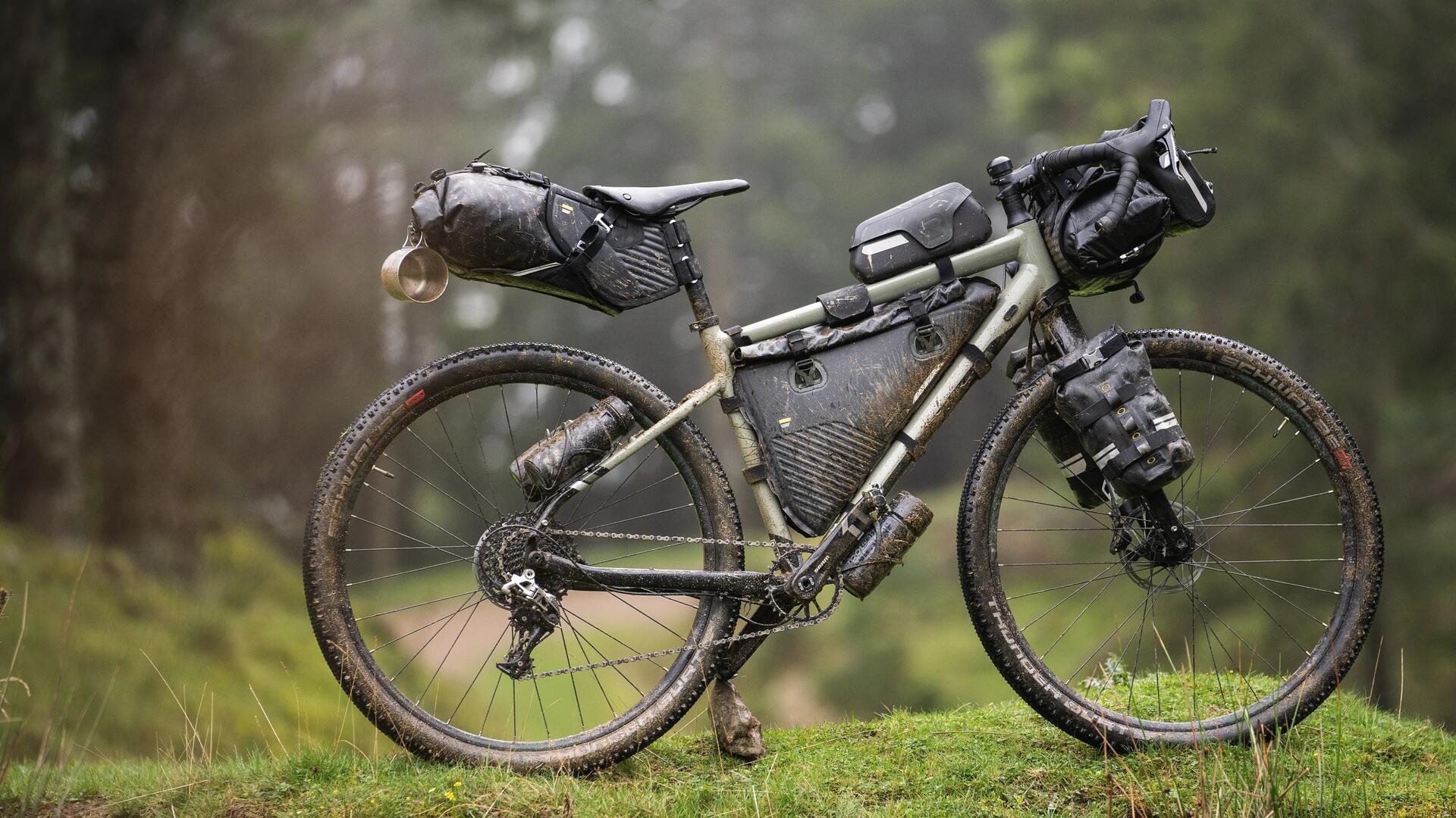 rower z zamontowanymi sakwami i torbami rowerowymi stojący w lesie