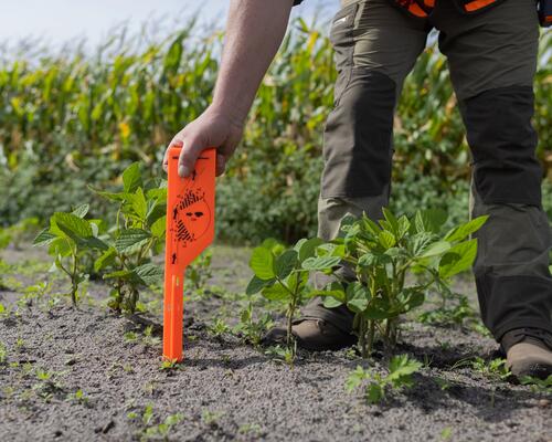 La matérialisation de l'angle de tir des 30 degrés à la chasse