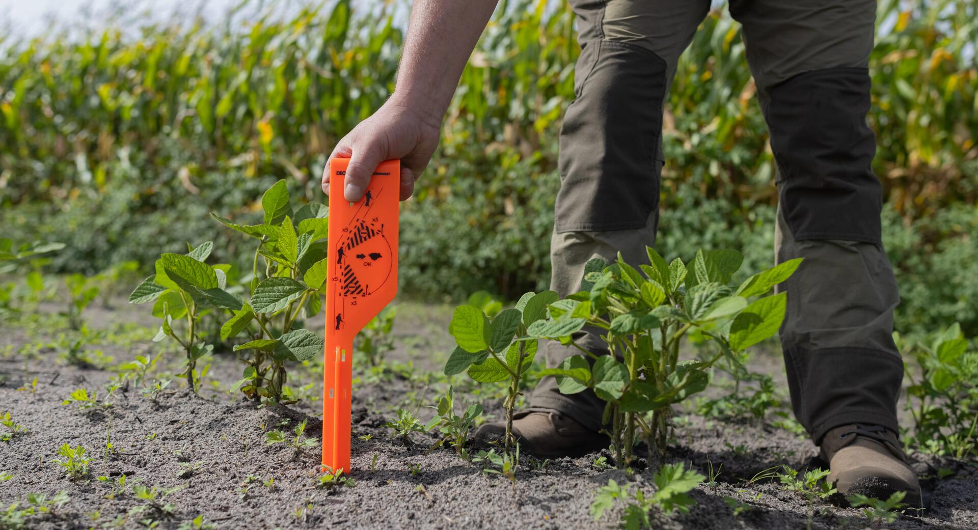La matérialisation de l'angle de tir des 30 degrés à la chasse