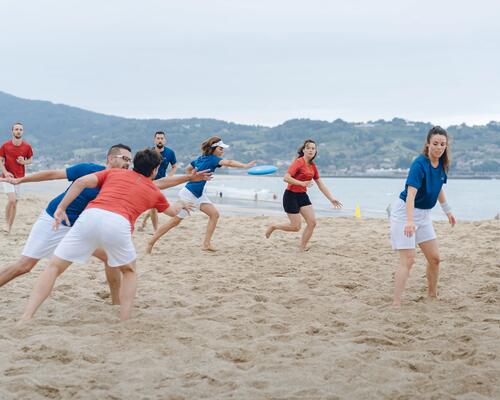 Alles wat je moet weten over ultimate frisbee