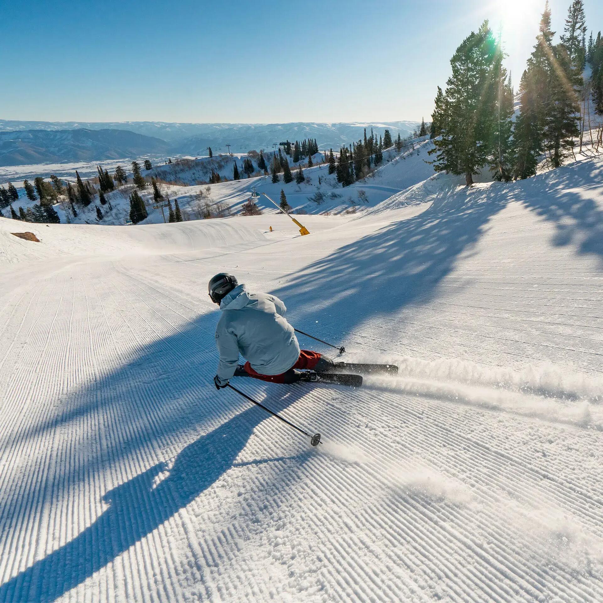 Les 3 Vallées