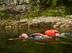 Comment choisir des palmes de natation ?