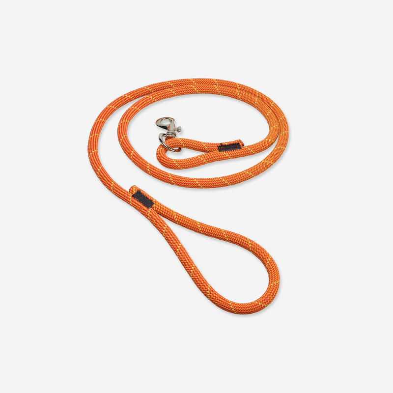 Laisse lasso chien verte 100 SOLOGNAC