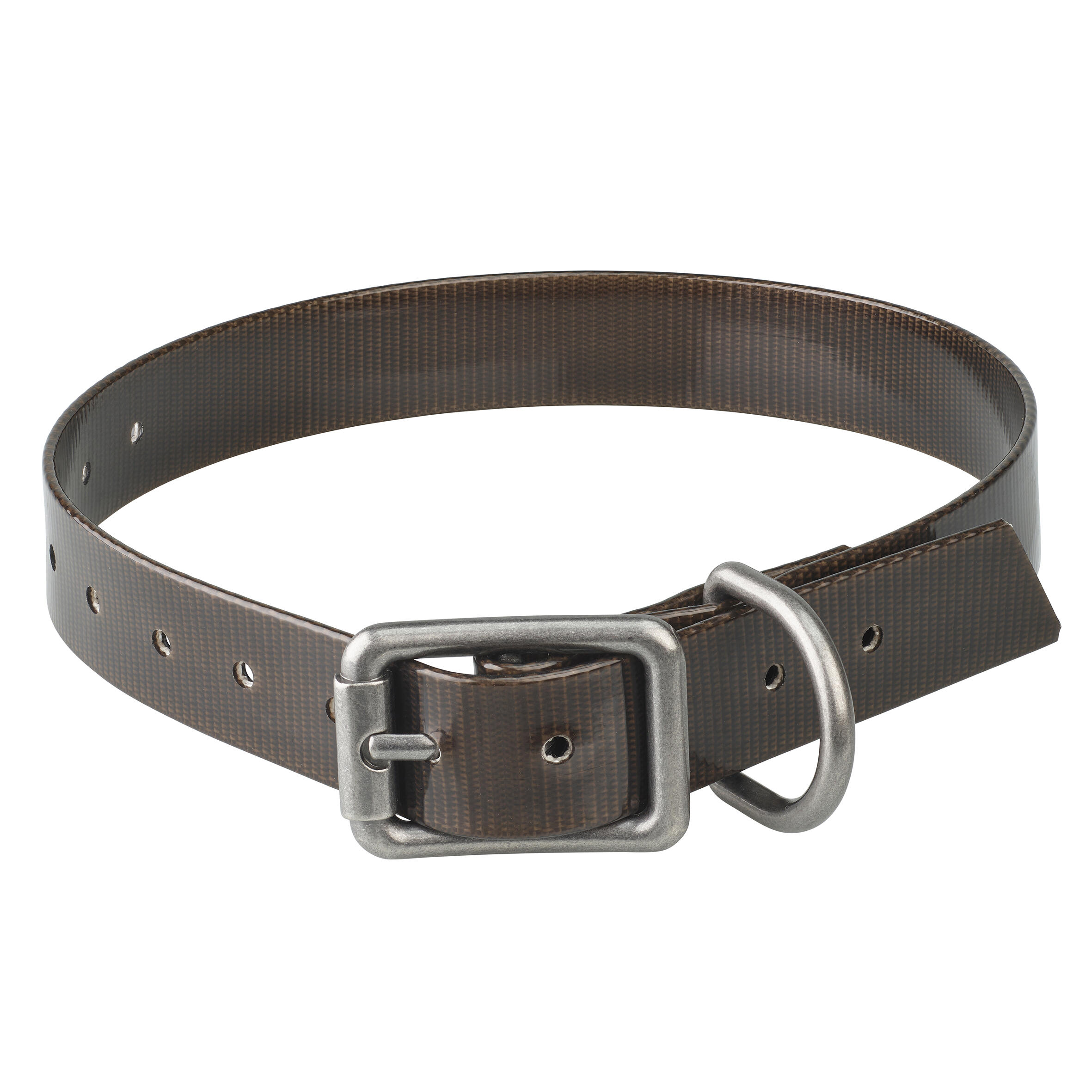 Dog Collars