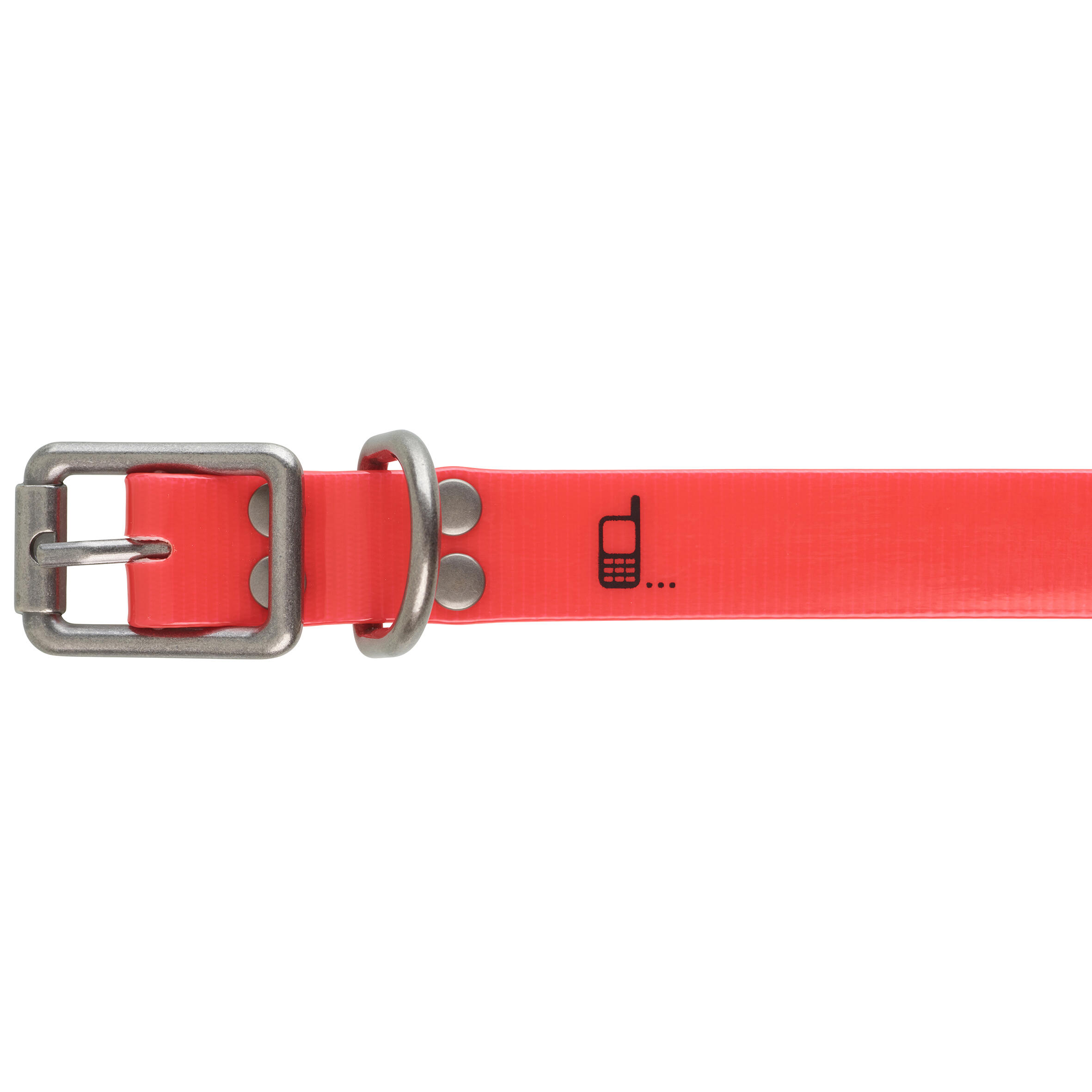 Red 500 dog collar