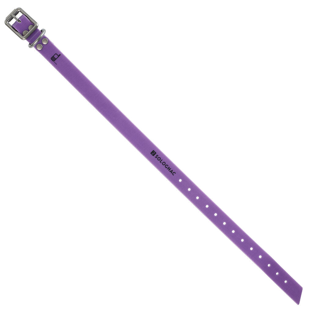 Dog collar - Purple500
