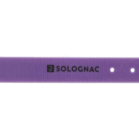 Dog collar - Purple500