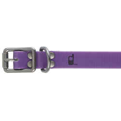 Dog collar - Purple500