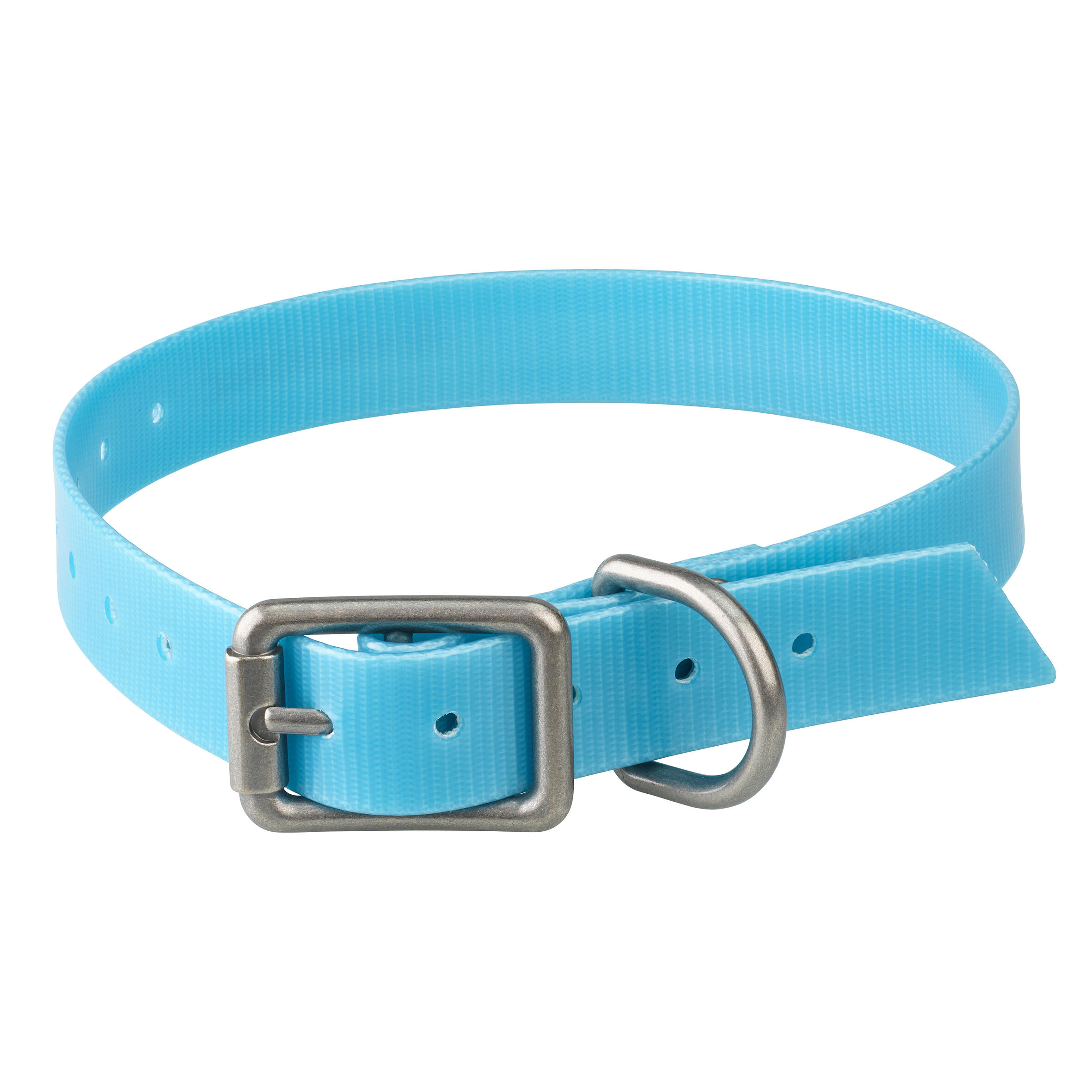 Dog collar 500 - Light blue 2/5