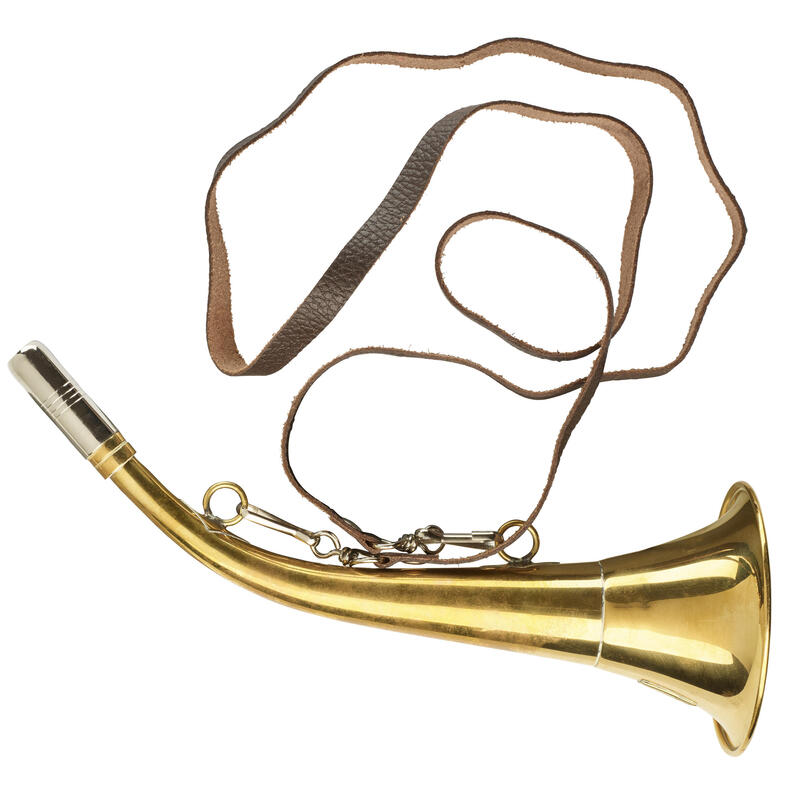 CORNE CHASSE LAITON TUNET PAVILLON 30CM