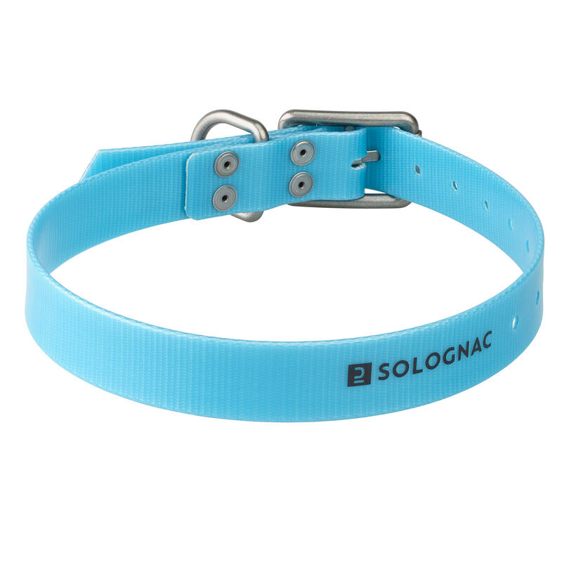 Collier chien Orange fluo 500