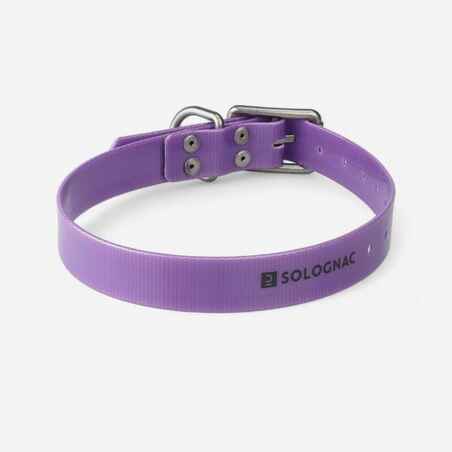 Dog collar - Purple500