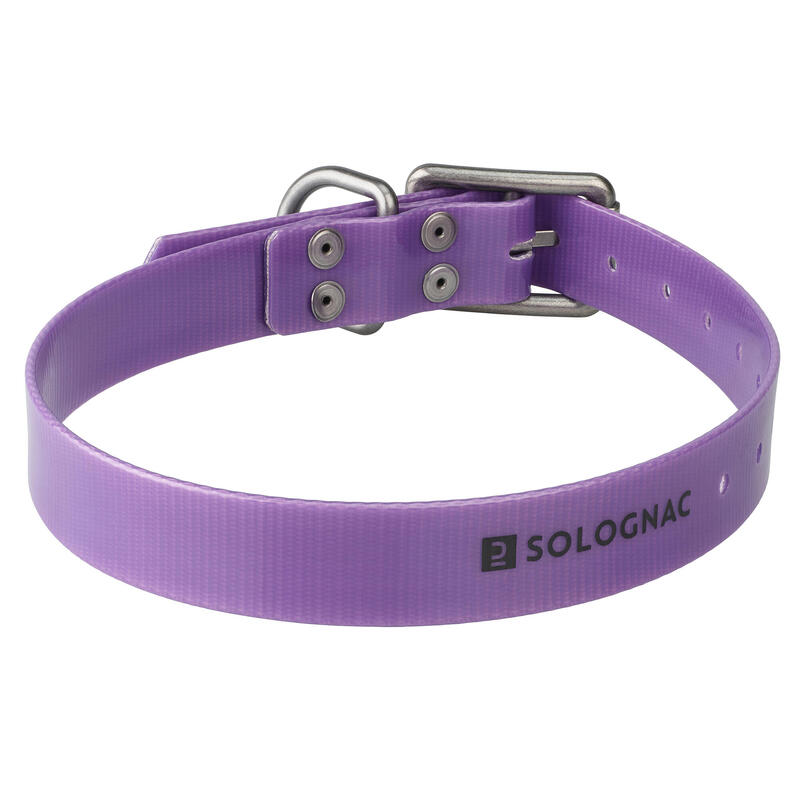 Collier chien Violet 500