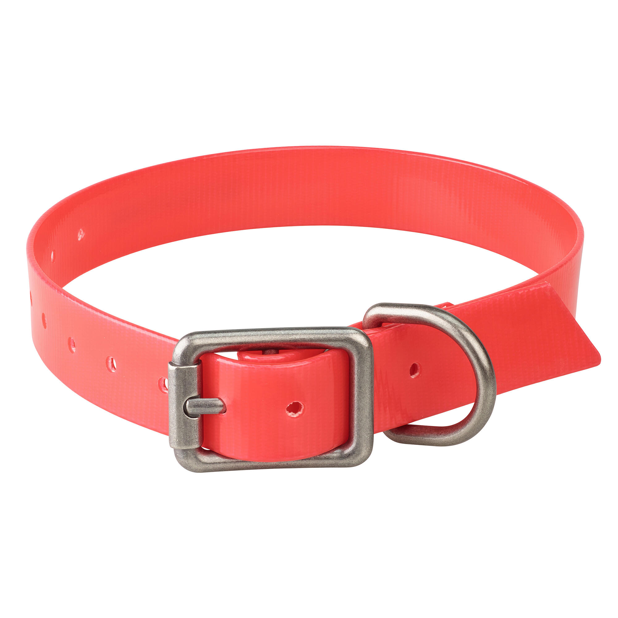 SOLOGNAC Dog collar red 500