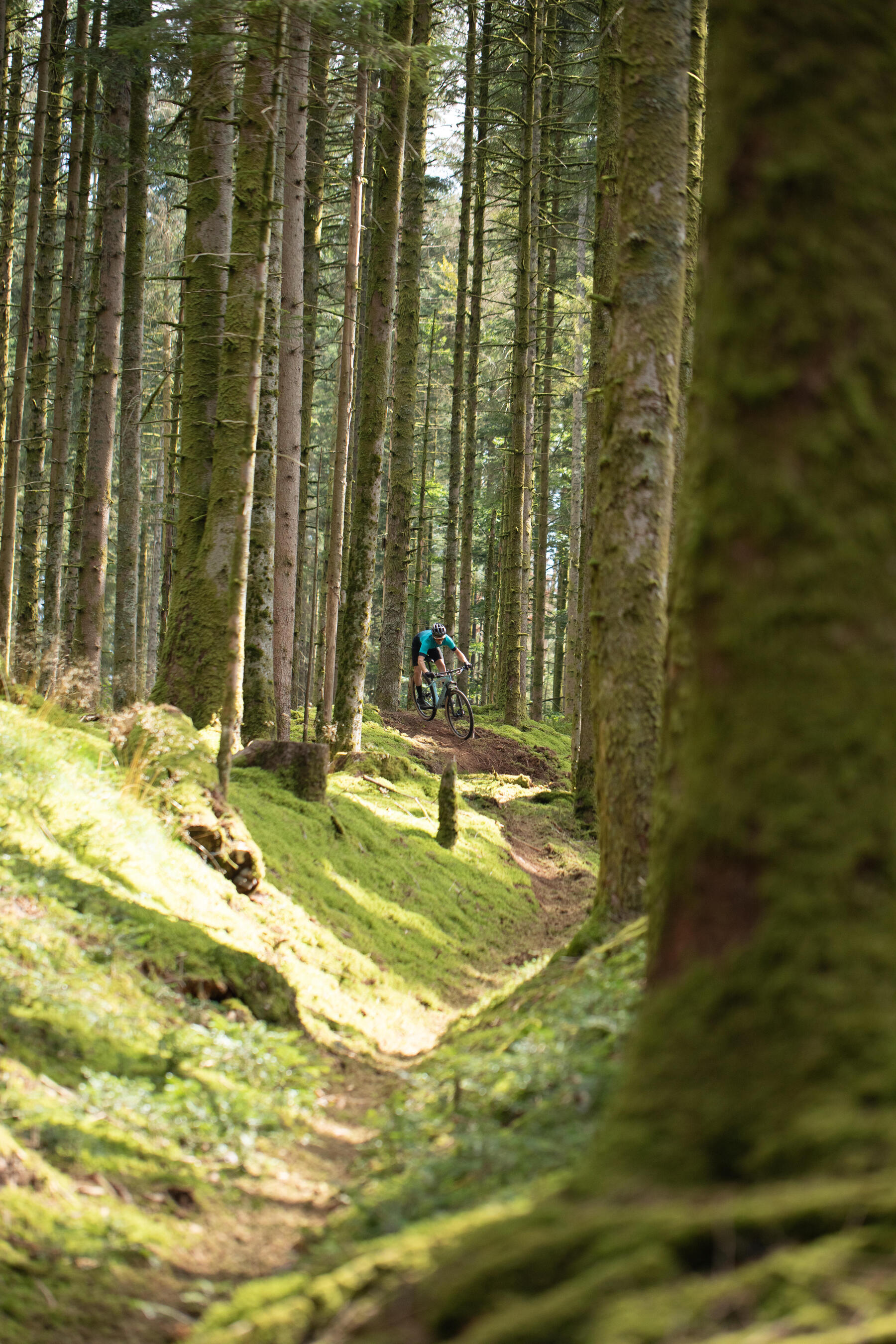 Sorties VTT: comment résister aux fortes chaleurs ?