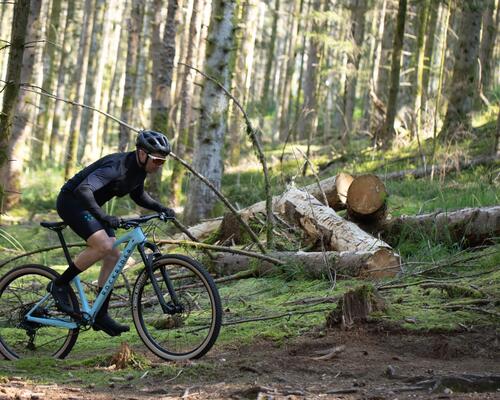 Mężczyzna w kasku i odzieży rowerowej jadący na rowerze MTB po lesie
