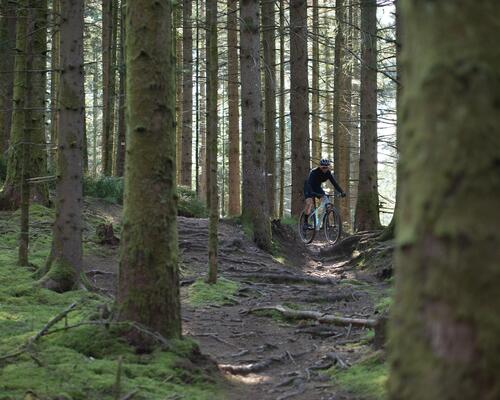 Quel cadre VTT choisir : aluminium ou carbone ?