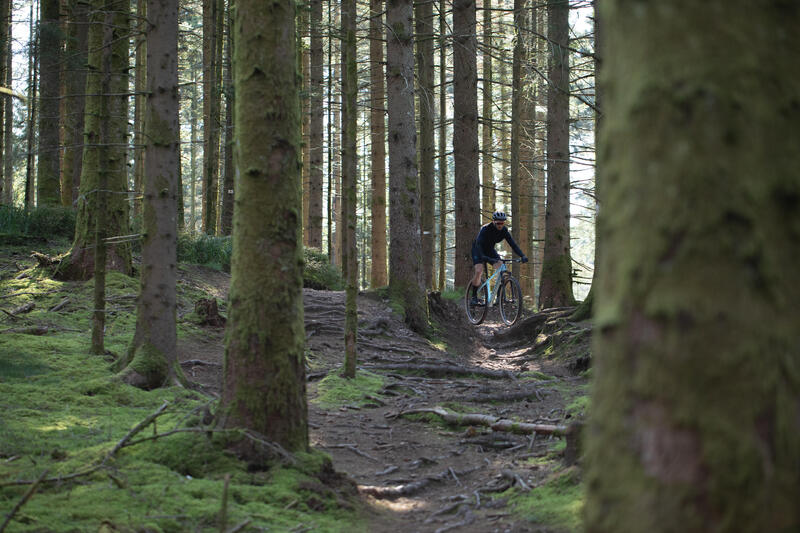 Che telaio MTB scegliere: alluminio o carbonio?