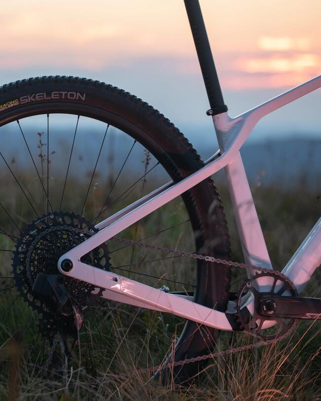 BTT RACE 900 GX Mavic