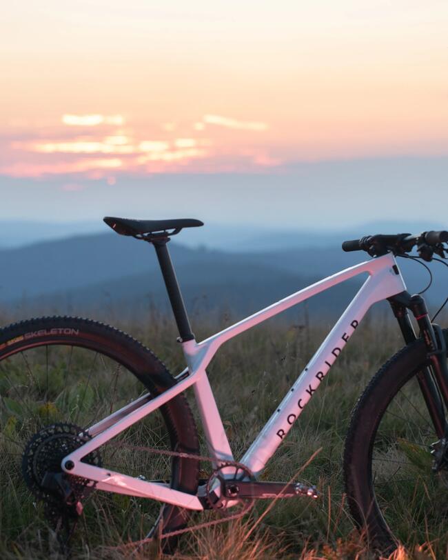 VTT RACE 900 GX Mavic