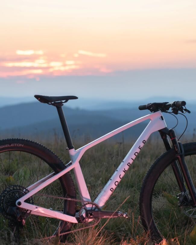 Bici Mtb Cross Country RACE 900 gruppo GX Eagle e ruote Mavic Crossmax alluminio