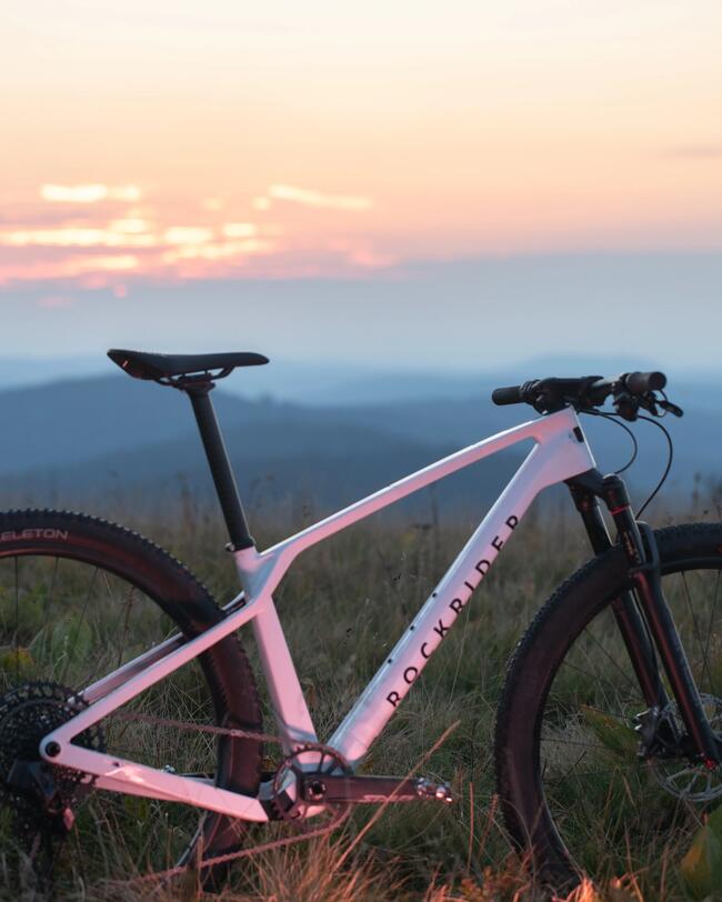BICICLETA BTT RACE 900 GX Mavic