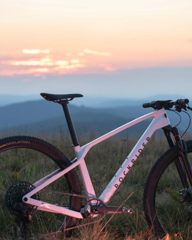 VTT RACE 900 GX Mavic
