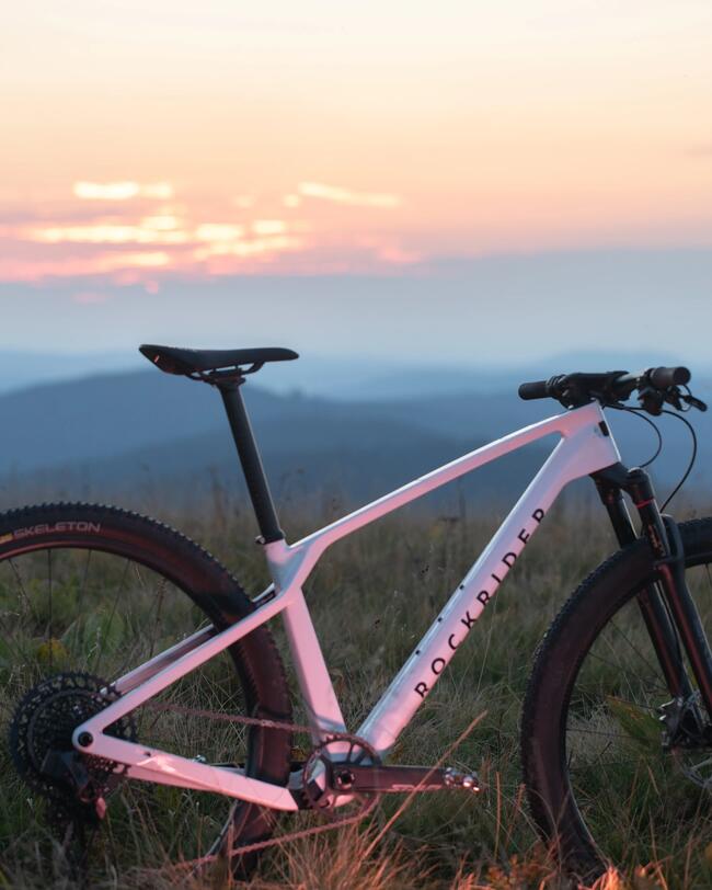 MTB Race 900 GX Mavic