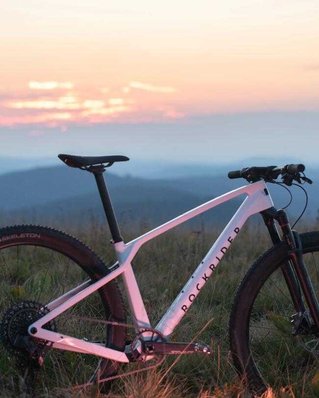 Crosscountry MTB RACE 900 GX Eagle Mavic