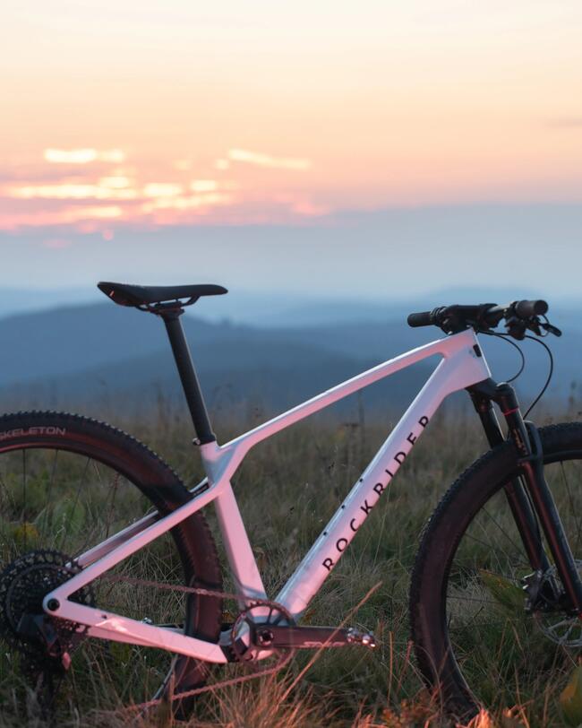 Crosscountry MTB RACE 900 GX Eagle Mavic