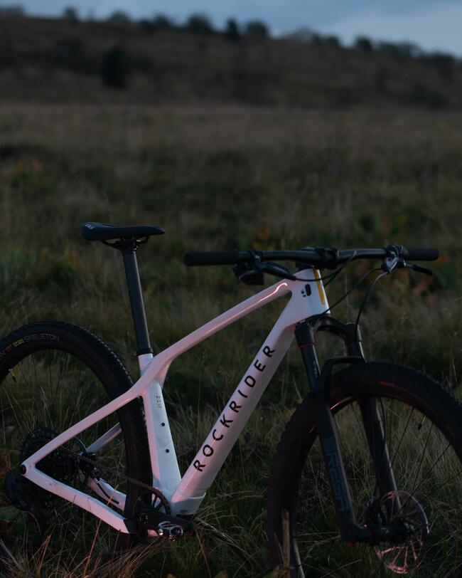Crosscountry MTB RACE 900 GX Eagle Mavic