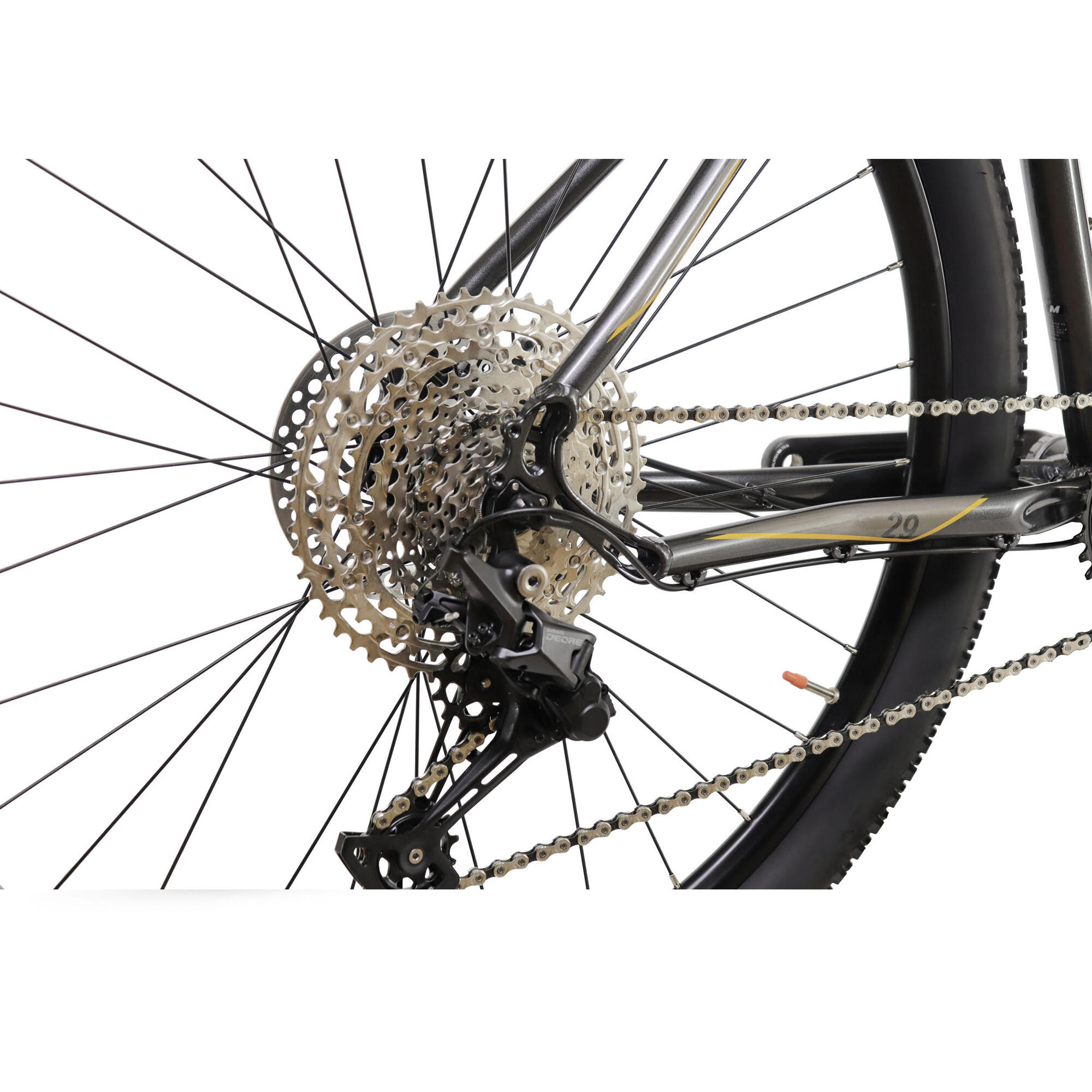Bicicleta de montaña 29" Shimano 11V NTT Sport 20 gris 10/12