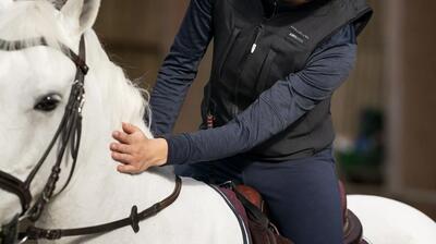 cheval-longe-embarquer-cavalier.jpg
