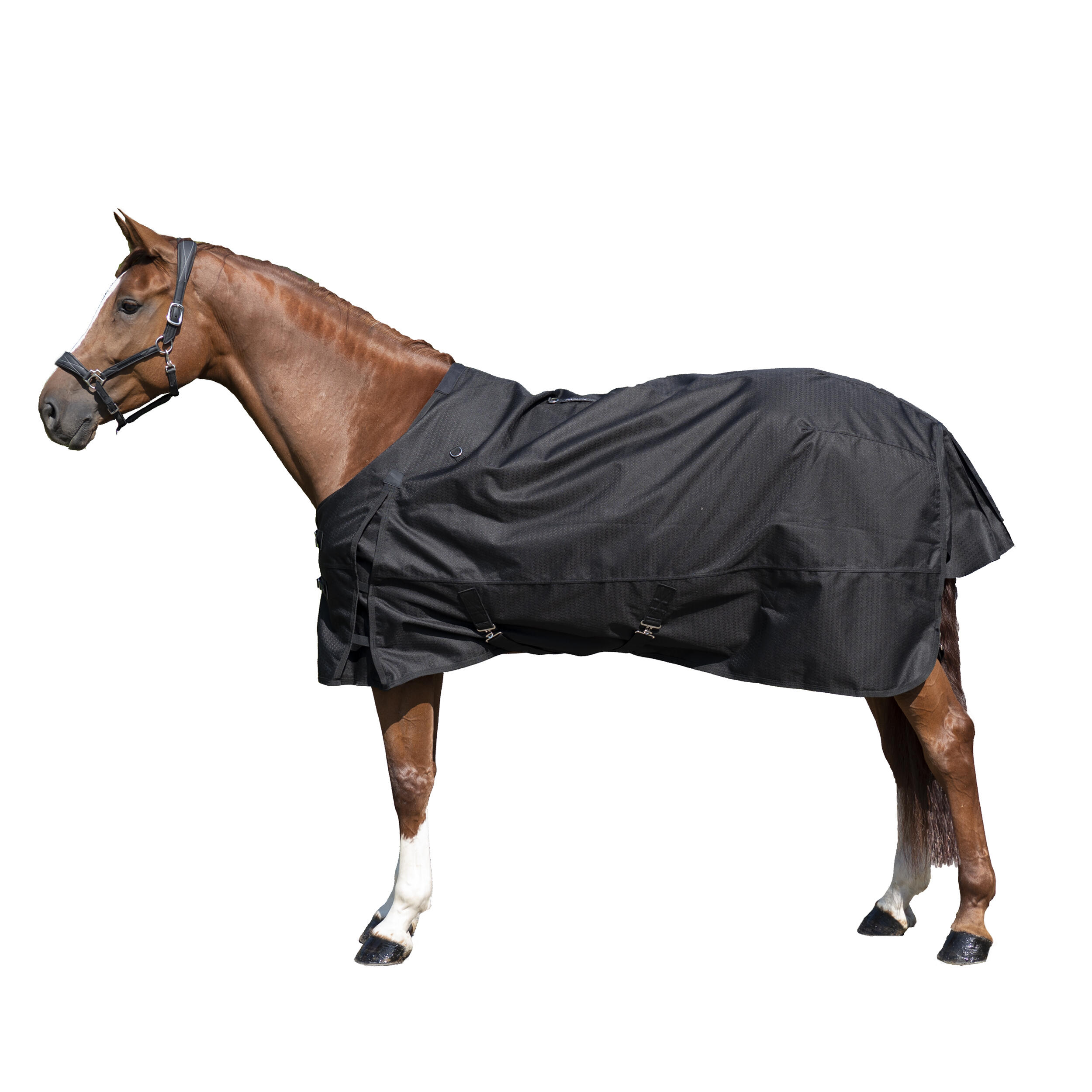 Pătură impermeabilă pentru exterior echitație ALLWEATHER 1000D negru cai decathlon.ro