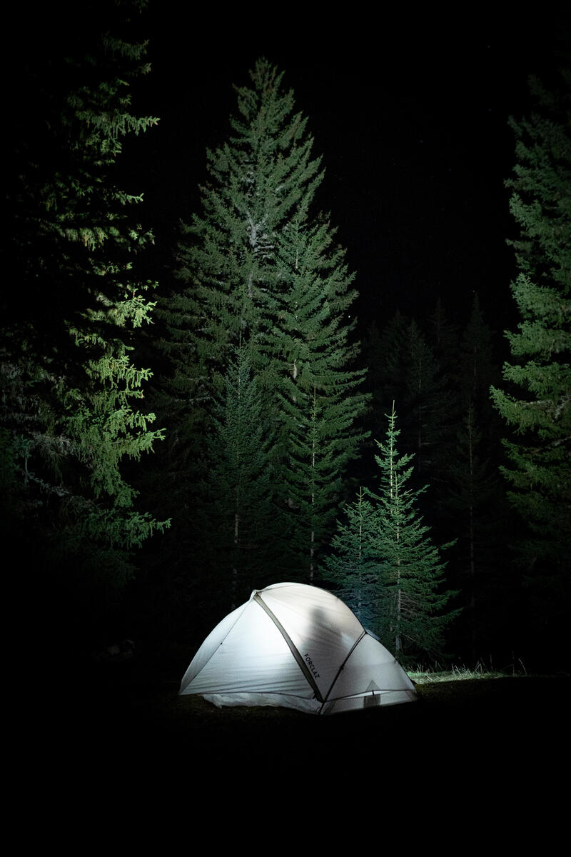 Czy można legalnie spać w lesie? Jak się do tego przygotować? 